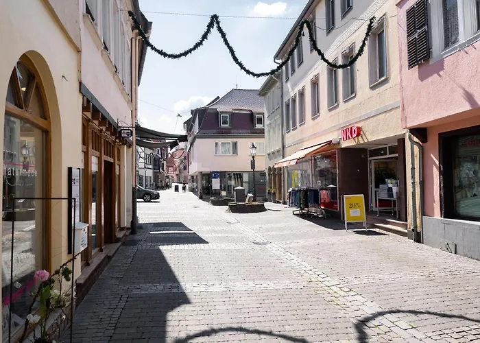 3 Zimmer Alzey Monteurwohnung Max 5 Personen Appartamento *